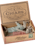 Mum & Dad Mice in Cigar Box