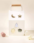 Wooden Shapes Sorting House
