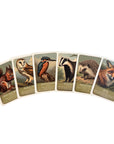 Wildlife "Pairs" Card Game