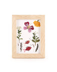 HUCKLEBERRY PRESSED FLOWER FRAME