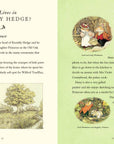 Visit to Brambly Hedge, A : Jill Barklem