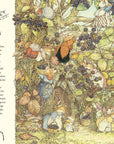 Visit to Brambly Hedge, A : Jill Barklem