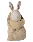Lullaby Friends Bunny & Lovey