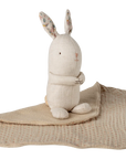 Lullaby Friends Bunny & Lovey
