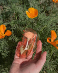 California Poppy Wildflower Hair Claw in Clear Acetate