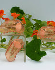 California Poppy Wildflower Hair Claw in Clear Acetate