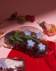 Forget-Me-Not Light Blue Flower Acetate Hair Claw