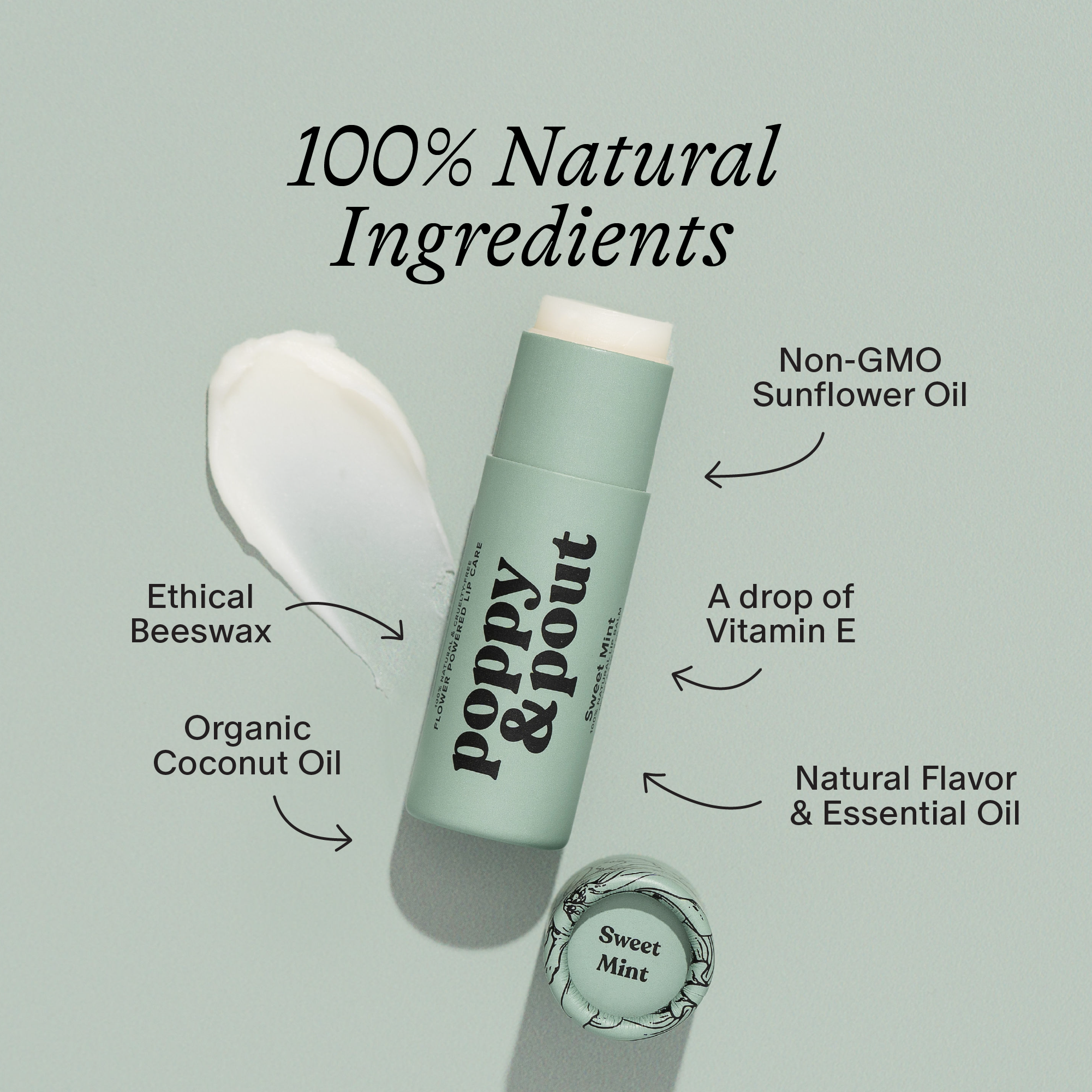 Sweet Mint - Lip Balm