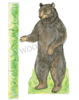 Cedric Bear Paper Doll Kit