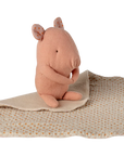 Lullaby Friends Pig & Lovey