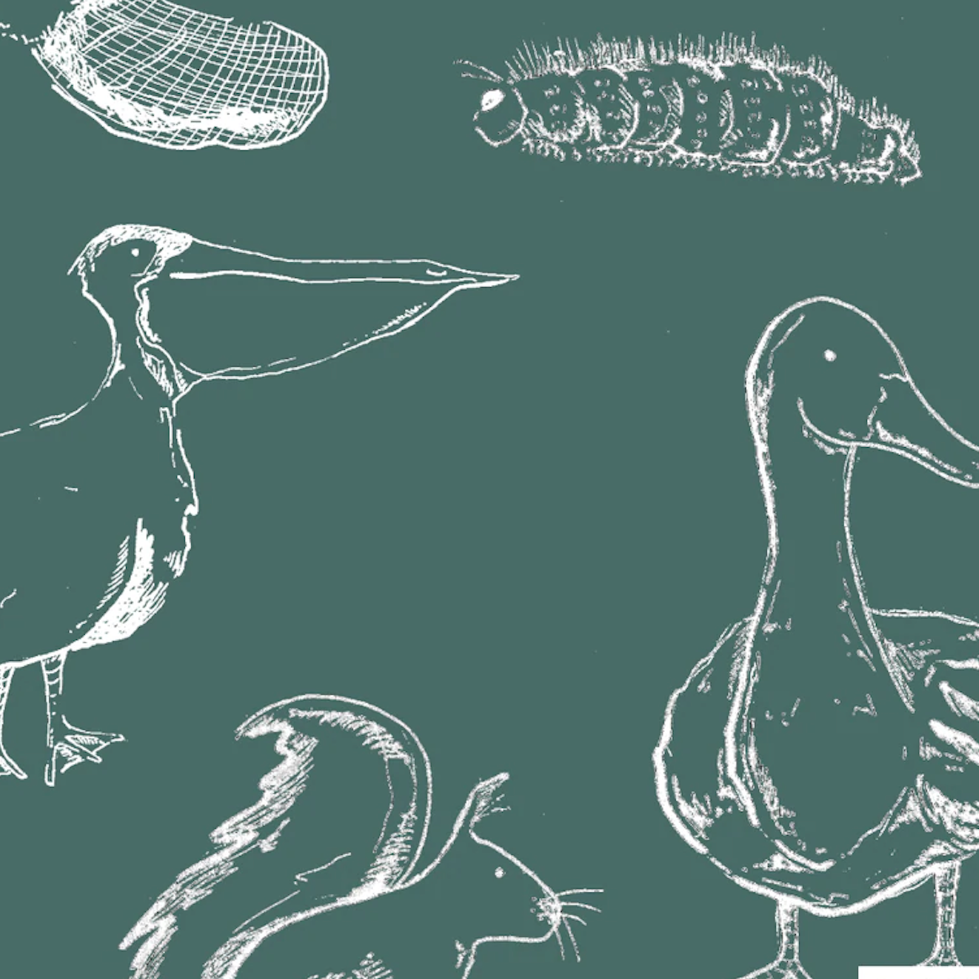 Yard Sale $10  -  Harem Pants - Infant &amp; Kids