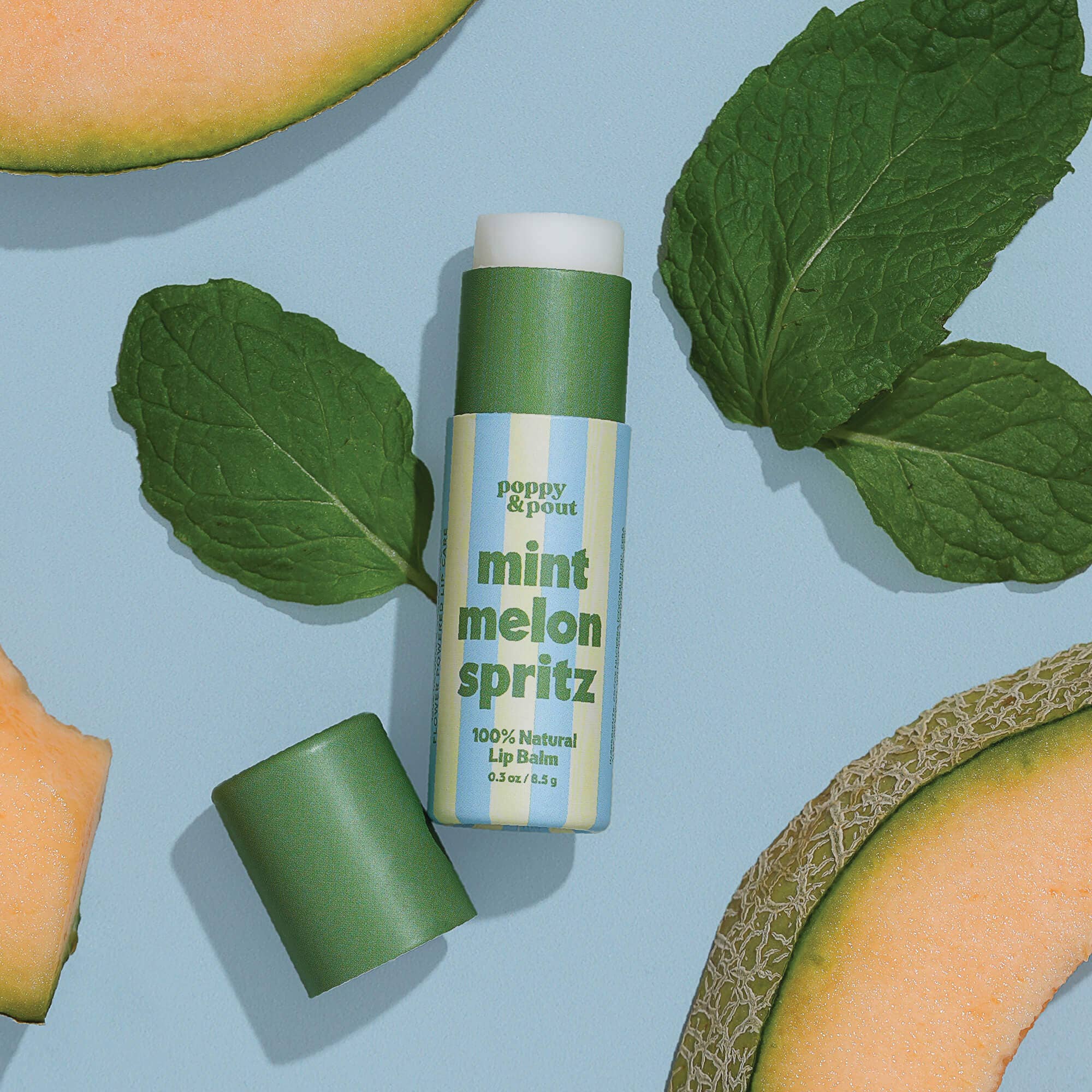 Mint Melon Spritz - Retro Refreshers Lip Balm