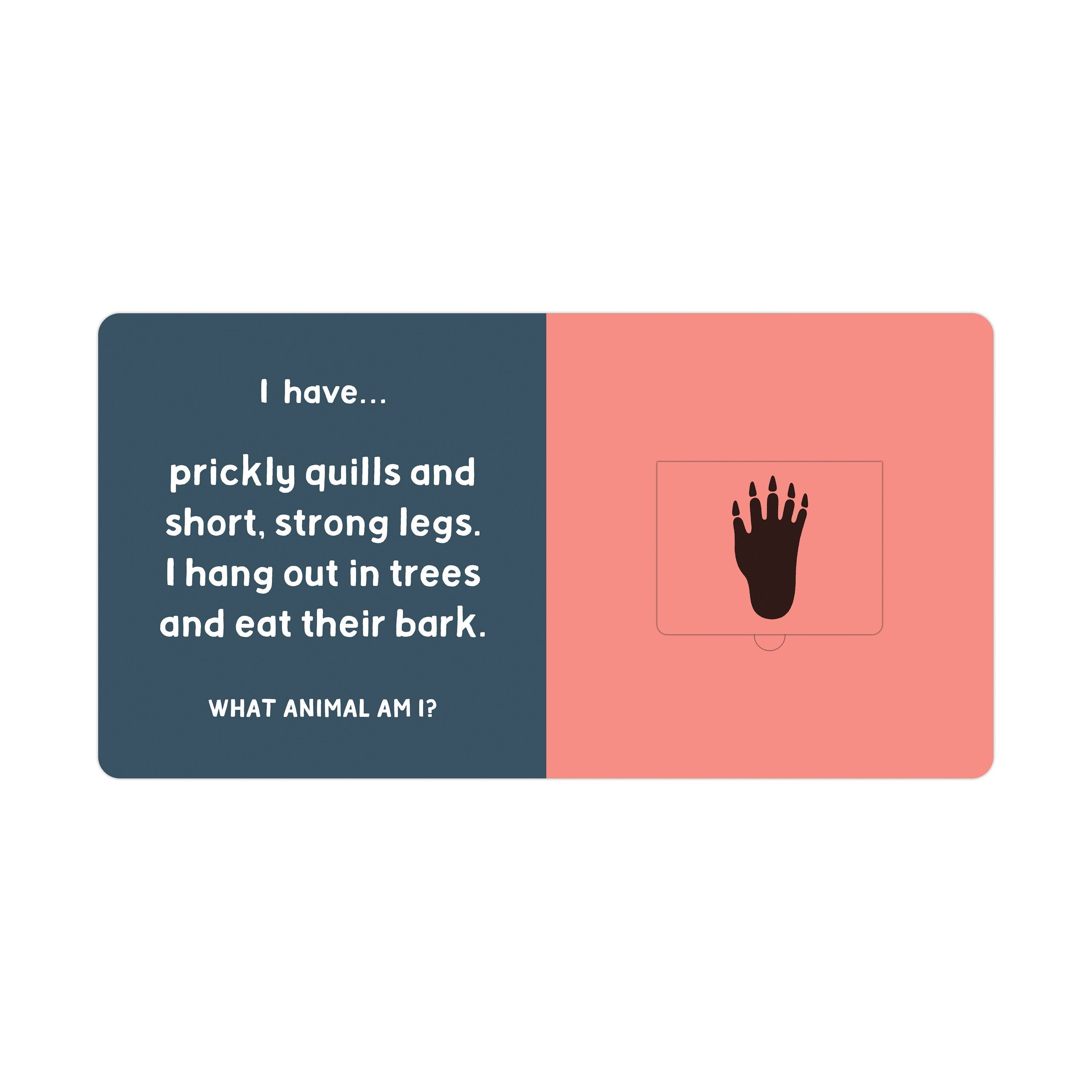 Forest Tracks: What Animal Am I? Lift-the-Flap Board Book