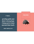 Forest Tracks: What Animal Am I? Lift-the-Flap Board Book