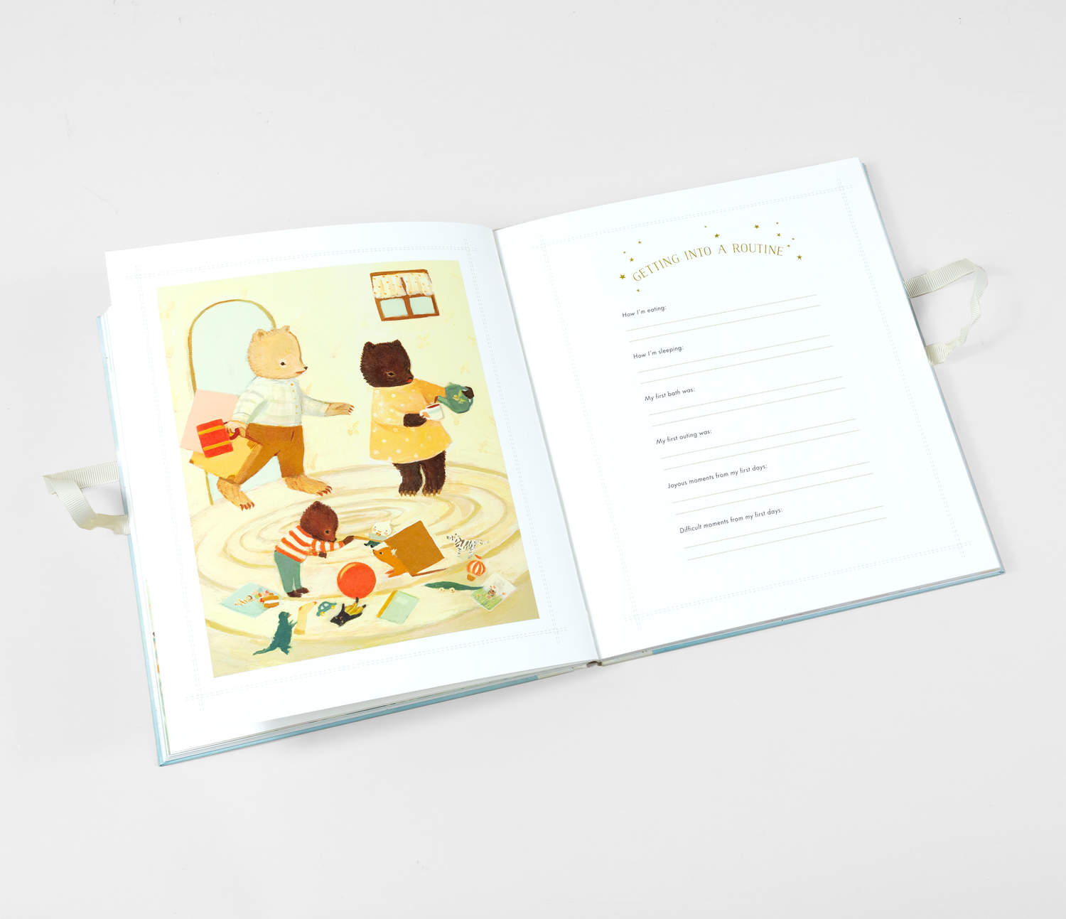 The Wonderful Baby You Are - A Record of Baby's First Year