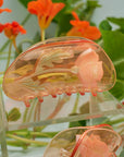 California Poppy Wildflower Hair Claw in Clear Acetate