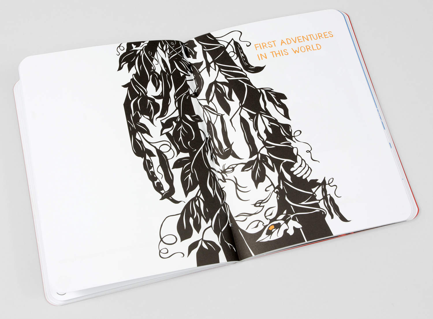 The First 1000 Days - Nikki McClure