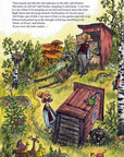 Findus Moves Out - Sven Nordqvist