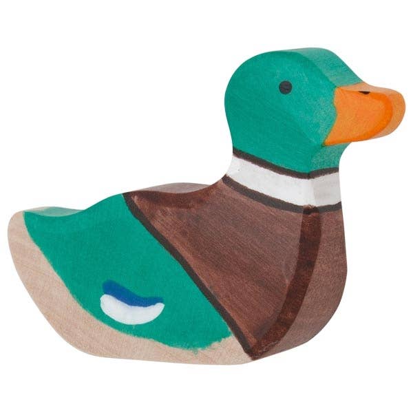 Mallard Duck, swimming